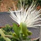 ��һ�μ�������������