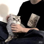 �Ҹ�������Ů��