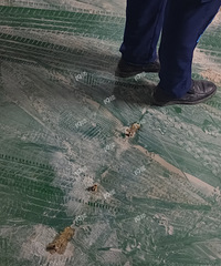 ����̥1������©���ˣ��ڵ���ͣ�����������������ë���Ȼ����