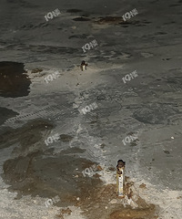 ����̥1������©���ˣ��ڵ���ͣ�����������������ë���Ȼ����