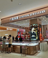 ����Ƿ��ˣ���������һ���־�׬�˽�5000Ԫ����