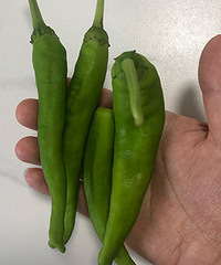 ���°�������С���� ��֪������ʲôƷ��