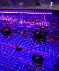 ����ʱ���ºӵĹ����Χ�Ѿ������ˣ��������Ժ����ڴ���