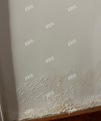 �̼���ҵ������ҵ�����⻹�����˻ؼң�����û����������