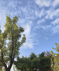 95�����й��� �Ҹ�92�� �����൹���к�~����һ����������