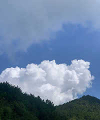 ���������û�к�ȥ������ҹ���׼��ȥ������ѽ