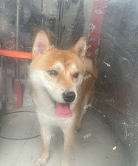 Ѱ�ҹ����ˣ���Ҳ�Ȯ�߶����㲻�����𣿲�㱻�ǹ�ץ�ߣ�