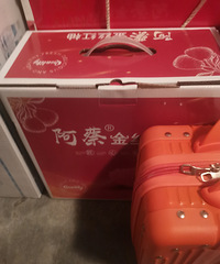 ���������±��Ǳ���� ˮ��Ҳ�ٲ��� �����ľ����ɴ�����