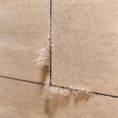 ����ɶ���Ⱑ��