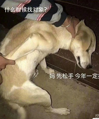 ǰ��4����ӳ������ǰ�ζ�û��