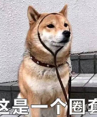 �����ڼ����ȥ���棿����С��һ��� ȥ̫Զ�ĵط���������ϰ��