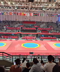 ���������˻������²¿�����ʲô����?