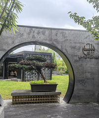 ��ӵħ�������׵���ʽ������ ζ�ٳ�����