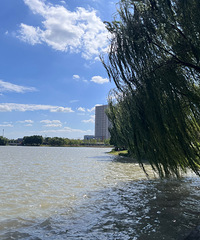 غ¶ӪҰ̲ͣݵ Ź ൱