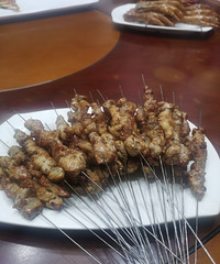 ������ǳԳ���������� С�տ��治����