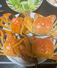 ����һ��з�Ʒ� �������ر�� ��з�ĸ�����
