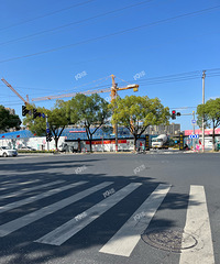 �ֳ�ʵ�ģ��Ǳ��µĺɻ��̲˳����½��ȡ�