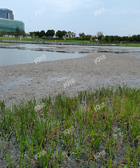 �����ˮ����һƬһƬ����ɶ����ô�����������һ���ġ�