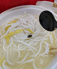 ������߸��ҼӲ��ˣ�һ�� �ô�һֻ��