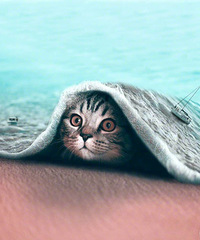 90������δ����˽��С��� ��һλ89������δ����Ůʿ