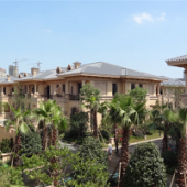 ��ʯҲ�Ĳ�ס��?