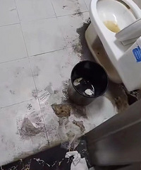 ����һ����˷��������������ͰҲ���壡������������ˡ�