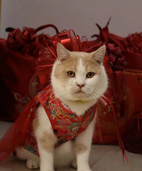 ������������� С����ҲҪ�úá���硱ϲ���Χ������