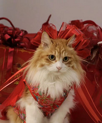 ������������� С����ҲҪ�úá���硱ϲ���Χ������