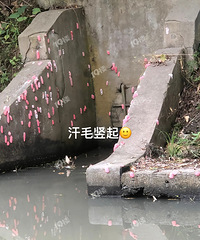 �ֻܿ������㣡���˵ĺ������Ǳ������������ˣ�