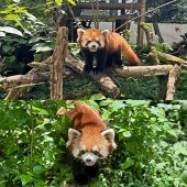 20Ԫ��Ʊ�Ķ���԰