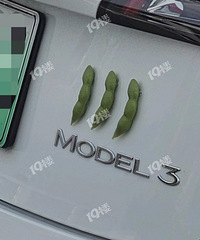 �ϰ�·��ż��������������ġ�ë��3����