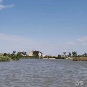 ��ͷ����ĺ���