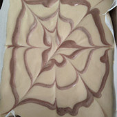 ������� ����չʾ