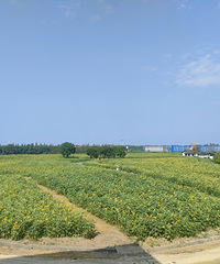 �����庣�ϻ��� �������տ� ���Ż�����һ�ſ� ���ſ�������