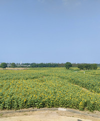 �����庣�ϻ��� �������տ� ���Ż�����һ�ſ� ���ſ�������