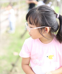 �������������ֳ�������������� ȥ���˳�����һȦ