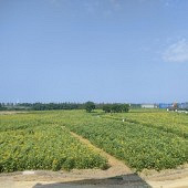 �����庣�ϻ���