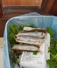 ȥ���вȿ��� ����Ҳ���Լ����񲻺ã���������Ҫע��㣡