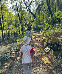 ��������ŵ�ͽ�� ȫ��13���� ����ɽ��·һ���ӱ�ĺ�խ