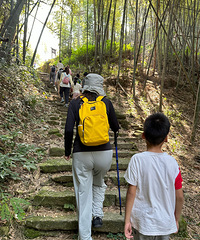 ��������ŵ�ͽ�� ȫ��13���� ����ɽ��·һ���ӱ�ĺ�խ