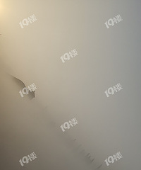 ��������������ͷɶ��������������������������Ǿ��ˣ�