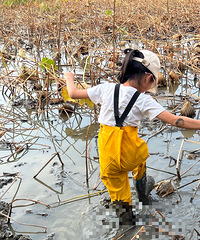 ����������������СС������������ѽ��ѽ�ڣ��ջ��ķᣡ