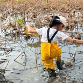 �����������ź