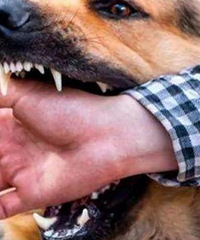 Ůͯ����ҧ��̫���ˣ�Ҫ��˵�޹���ǣ����Ӧ���ط���