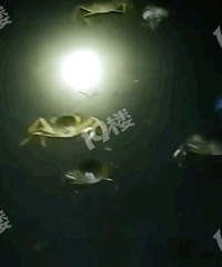 ����һ���з�����ˣ����г����ĵط����У��ö��˶�ץ���ˣ�