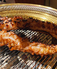 Q���������ͦ�óԵ� �ǻ��ˢ�ģ�