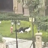 ���˹�������ô�죿