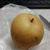 �������Ҹж�������