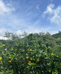 ����ȥ�ϱ��������ӣ���������ȥ����Ҫ�ϵ� �߼�����·