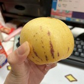 ����������˲ι�